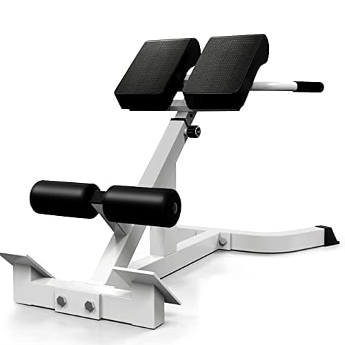SUCXDZQ Roman Chair Back Extender - Angle & Height Dual Adjustable Hyperextension Bench for Home Gym - Adjustable Back Exercise Machine Fitness Equipment (White)