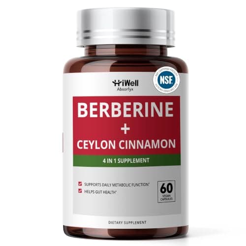 HiWell Absorfyx Berberine 300mg with Ceylon Cinnamon 2000mg Equivalent — 4-in-1 Metabolic Support Complex with Bitter Melon & Alpha-Lipoic Acid, 10:1 Extracts, 60 Vegan Capsules, Non-GMO, Gluten-Free