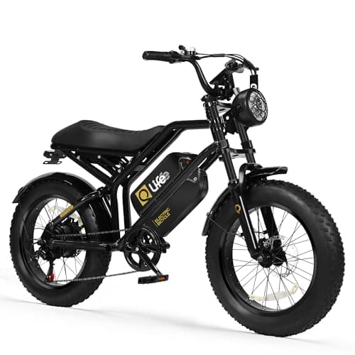 Qlife Electric Bike for Adults - 1500W Peak Motor,1248Wh Removable Dual 13Ah Batteries, 20" Fat Tires, 28MPH EBike, Dual Suspension & Brakes, 7-Speed, Spark， Black