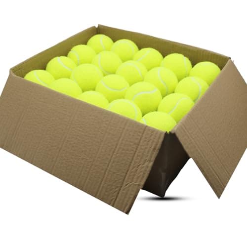 SHYUJAJIE Tennis Balls, 40 Pack Training Tennis Balls,High Elasticity Practice Tennis for Beginner, Exercise Playing Balls for Pet Dog (Yellow)