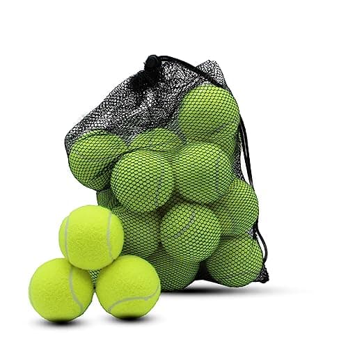 Swingers 20 Pack Tennis Balls,Training Exercise Balls for Pet Dog, High Elasticity Practice Tennis Balls for Beginner, with Mesh Carry Bag Easy to Transport (Yellow)