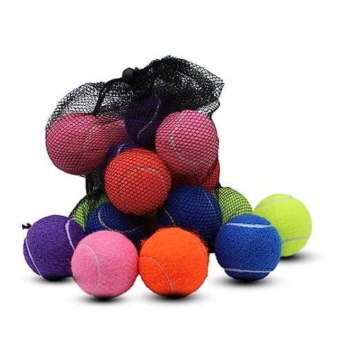 Swingers 20 Pack Tennis Balls,Training Exercise Balls for Pet Dog, High Elasticity Practice Tennis Balls for Beginner, with Mesh Carry Bag Easy to Transport (Multicolor)