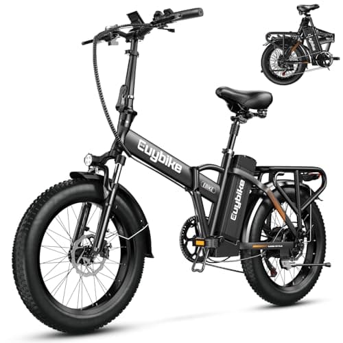 bluebiko 1000W Folding Electric Bike, 48V 20AH Large Removable Battery E Bike, 60 Miles Max Range, 20" Fat Tire EBike for Adults, Adult Electric Bicycles for Commute,Black