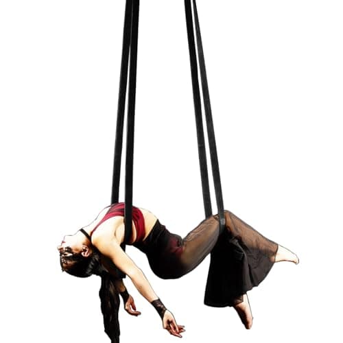 4.9ft (1.5m) Aerial Loops Straps – Professional Aerial Yoga Ropes for Acrobatics, Circus Training & Fitness – Strong Nylon Trapeze Straps for Aerial Silks, Hammock, Dance & Performance Arts (Black)