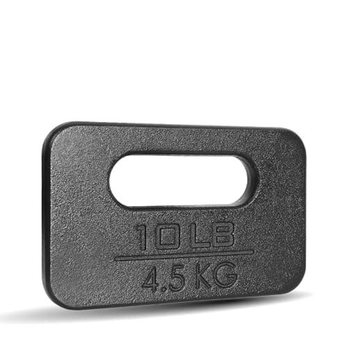 Yes4All Cast Iron Rucking Weight for Backpack, Training Weight Plate with Ergonomic Rounded Handle, Protective Glossy Finish for Weighted Walking, Hiking, Rucking, Resistance Workout, 10 LB (Single)