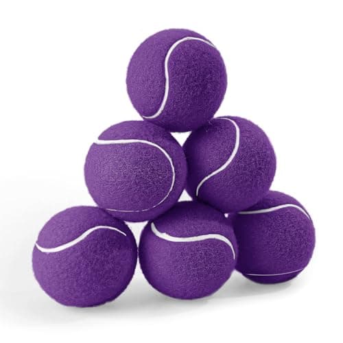 PHOEPET 6-Pack Tennis Balls for Dogs, Bulk Rubber Ball for Fetch Chew Toys Beginner Training Practice(Purple)