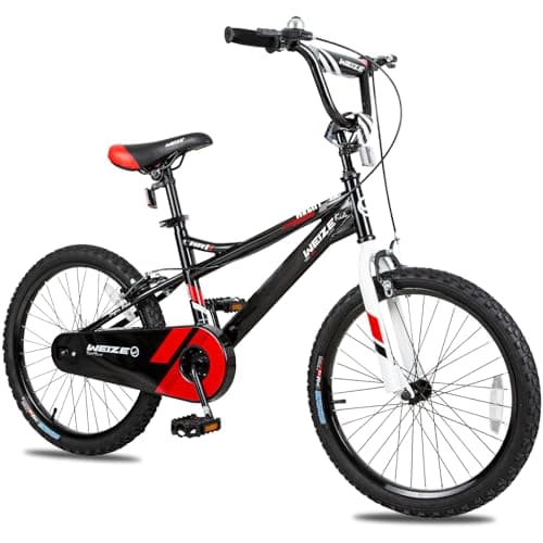 WEIZE Kids Bike, 16 18 20 Inch Children Bicycle for Boys Girls Ages 4-12 Years Old, Rider Height 38-60 Inch, Coaster Brake, Multiple Color Options, Free Portable Bike Pump, TW-DU008, Black
