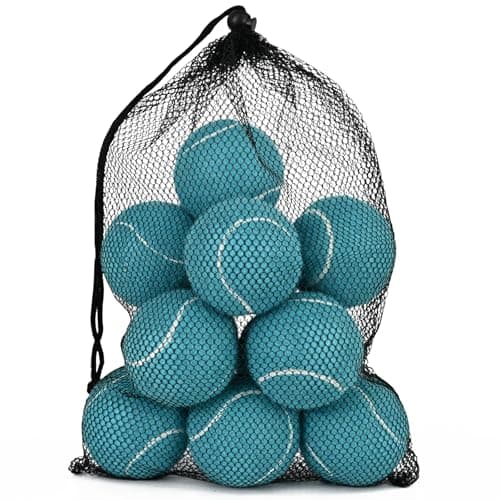 INSUM Bulk Tennis Balls, 12 Pack Extra Duty Practice Balls with Mesh Bag