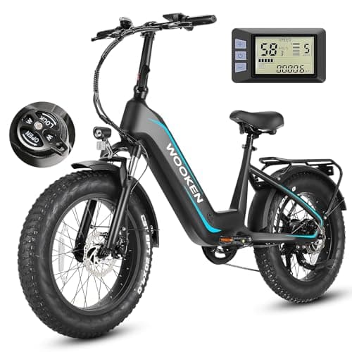 Wooken Electric Bike for Adults, 500W Motor Ebike,20"x4.0" Fat Tire Electric Bike,48V 13AH Removable Lithium-ion Battery, Up to 60 Miles,Step-Thru Electric Mountain Bike,SGS Certified to UL 2849
