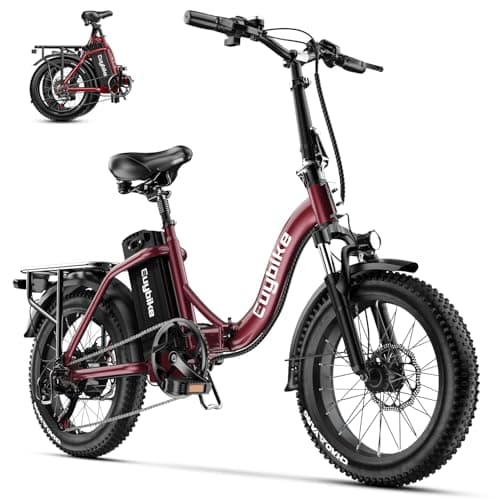 bluebiko 1000W Folding Electric Bike, Wine red
