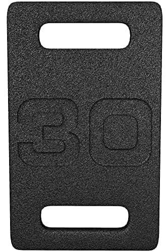 Fitvids Cast Iron Plate, Weighted Plate for Swings, Squat, Strength Training, Fitness Workout, and Home Exercises, 30-Pound